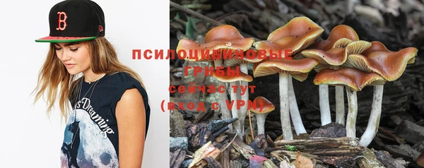 герыч Магадан