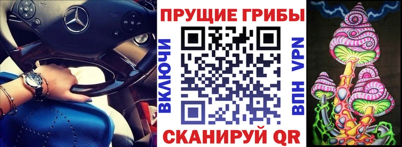 Галлюциногенные грибы прущие грибы  Хасавюрт 